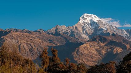 TADAPANI, NEPAL - JANUARY 11, 2025: Morning light illuminating the towering peaks of Annapurna range, showcasing nature's beauty and serenity.