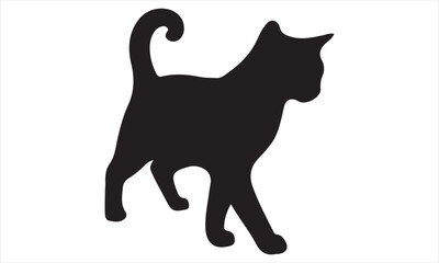 black cat isolated on white