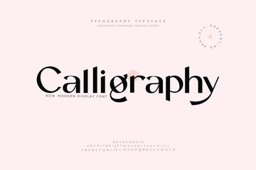 Elegant Font Uppercase Lowercase and Number. Classic Lettering Minimal Fashion Designs. Typography modern Serif fonts regular decorative vintage concept. vector illustration
