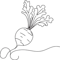 Minimalist Daikon Radish Line Art | Vector Illustration