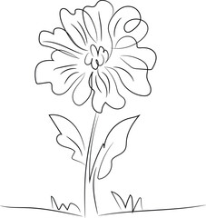 vector illustration of a flower