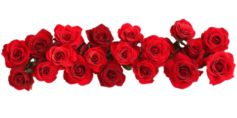 Red roses border frame with   a transparent background