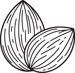 Vector Art of Almond in Clean Line Style
