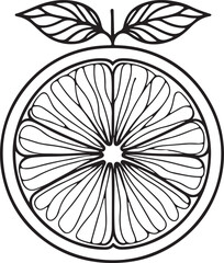 Obraz premium Grapefruit Vector Art in Line Drawing. Contemporary Citrus Artwork