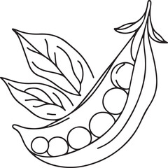 Naklejka premium Minimalist Peas Line Drawing Illustration - Vector Art