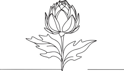 Simple and Elegant Artichoke Line Art Vector Illustration