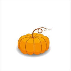 Orange pumpkin on a white background.  Flat illustration