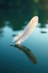 Naklejka premium A single feather floats gently on a calm lake surface, lake, calm
