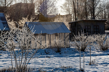 wonderful winter day, trees and grass covered with frost, small wooden sheds in the garden