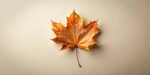 A Single Dried Maple Leaf on a Pale Background, Representing Autumn's Golden Hues and the Tranquil Beauty of Nature's Cycle