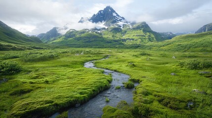 Mountain stream flows through lush valley (7)