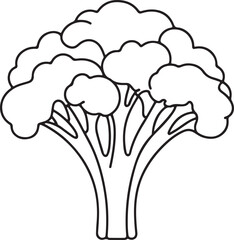 Elegant Line Drawing of Broccoli in Vector Art Style
