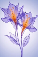 A minimalistic portrayal of microscopic diatoms with fine silica shells, embodying nature's intricate nanoscale design