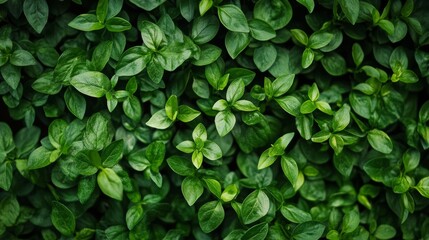 Go green with eco-friendly practices in your business! Connect your actions with clean energy, sustainable choices, and responsible resource use.  