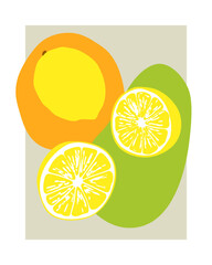 A modern, minimalist digital illustration of citrus fruits, featuring a whole lemon