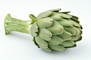 Fototapeta premium A minimalist image featuring a fresh artichoke upright on a pristine white background