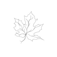 Monstera leaf line art. Tropical leaves continuous line draw design isolated on white background. Botanical nature concept. Minimalist style vector drawing. Modern single line art