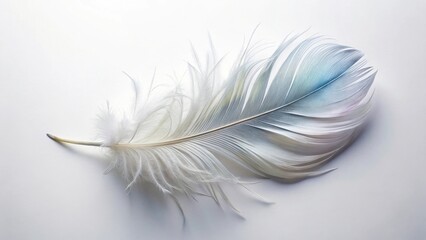 Obraz premium Delicate Single Bird Feather with Soft Pastel Hues on a Plain Background