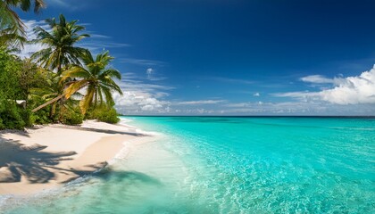 A tropical beach with turquoise waters, white sand, and palm trees