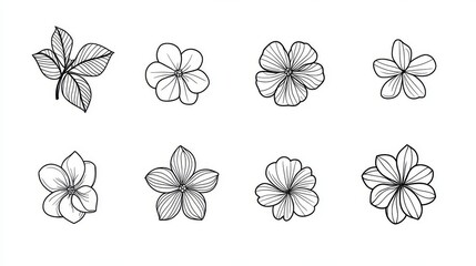 Line art of eight cherry blossoms set against a white background, functioning as a design element
