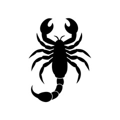 scorpion tattoo vector