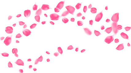 Valentine's day card with pink rose petals elements in dynamic composition. aroma spa