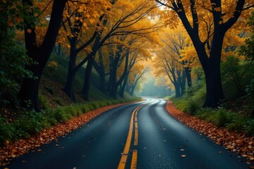 Obraz premium Dark asphalt road winding through twisted trees, asphalt, winding road