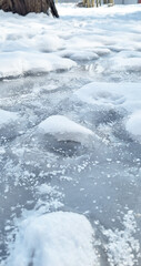 ice on the river. Vertical photo