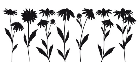 Set with outline Rudbeckia or black-eyed Susan flower silhouettes in black isolated on white background. 