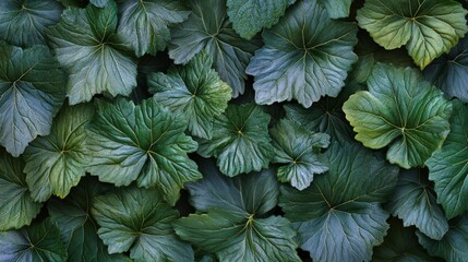 Fototapeta premium Lush Green Leaves Natural Texture Background