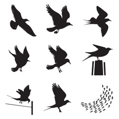 Sparrow Silhouette On A Branch On A Transparent Background Silhouette of a bird on branchBirds