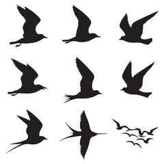 Sparrow Silhouette On A Branch On A Transparent Background Silhouette of a bird on branchBirds