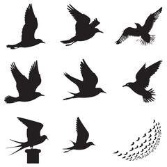 Sparrow Silhouette On A Branch On A Transparent Background Silhouette of a bird on branchBirds