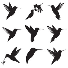 Sparrow Silhouette On A Branch On A Transparent Background Silhouette of a bird on branchBirds