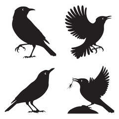 Sparrow Silhouette On A Branch On A Transparent Background Silhouette of a bird on branchBirds