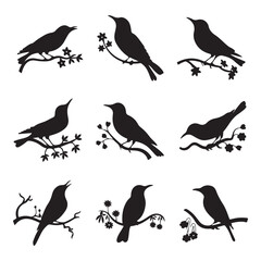 Vector set of sparrow silhouettes. Birds silhouettes collection Sparrow Silhouette 