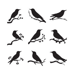 Vector set of sparrow silhouettes. Birds silhouettes collection Sparrow Silhouette 