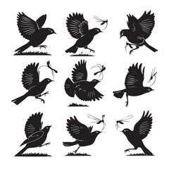 Sparrow Silhouette On A Branch On A Transparent Background Silhouette of a bird on branchBirds