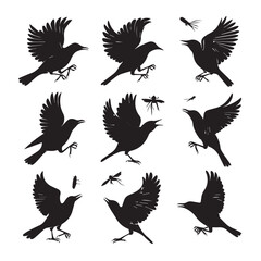 Vector set of sparrow silhouettes. Birds silhouettes collection Sparrow Silhouette 