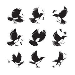 Vector birds silhouettes Sparrows Silhouette Pigeons Flying Silhouettes 1 brid silhouette