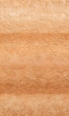 Minimalist Terracotta and Sand Sandy Texture Background
