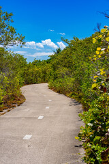 Crandon Park Miami bike path
