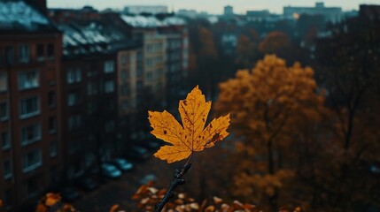 Vibrant Yellow Leaf in Autumn - High-Quality Stock Photo for Design Projects