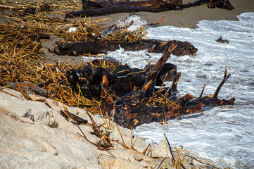 Coastal flooding and garbage caused by storm surge from DANA hurricane in Malaga, Spain