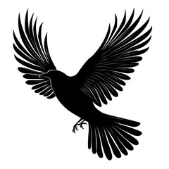 Fototapeta premium Flying Bird in Silhouette