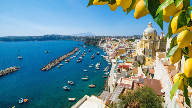Marina di Corricella on Procida Island, Italy, with vibrant buildings, clear blue water of Mediterranean sea with numerous boats, and foreground of ripe lemons. Welcome to Procida concept image