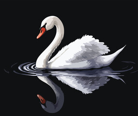 swan on black background