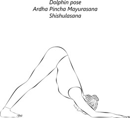 Sketch of young woman practicing Ardha Pincha Mayurasana yoga pose. Dolphin pose or Turbo Dog pose. Shishulasana. Isolated vector illustration.