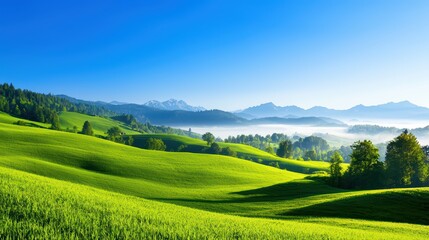 Obraz premium Misty Green Hills Under Fresh Blue Sky in Mountain Landscape