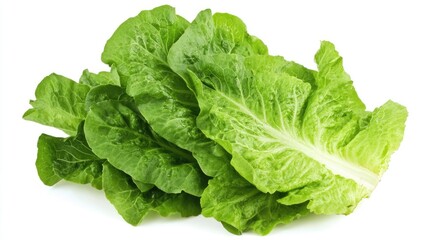 Obraz premium Fresh romaine lettuce leaves, crisp and vibrant, appearing weightless against a white background.